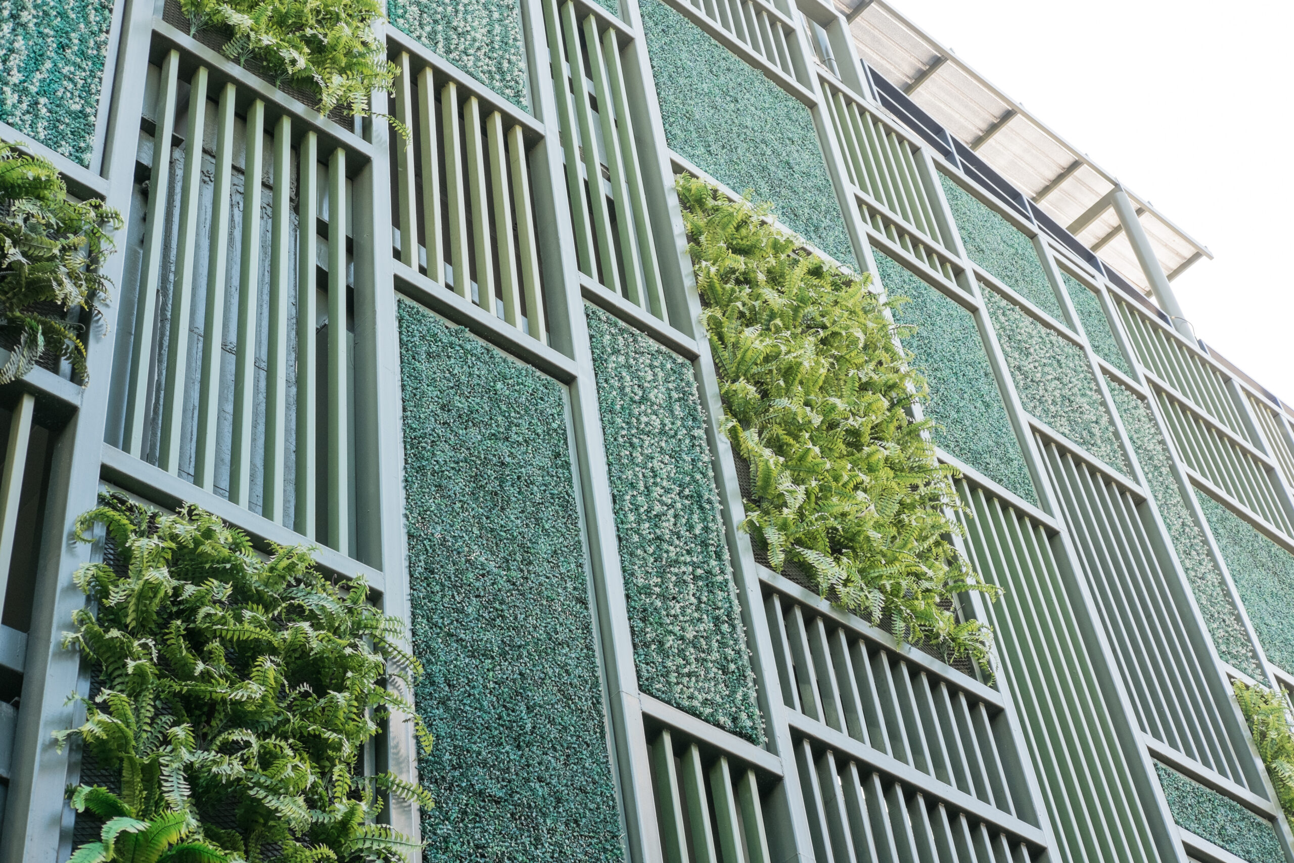 Green facade, vertical garden in architecture